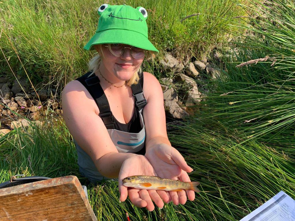 A nice trout caught while electrofishing 